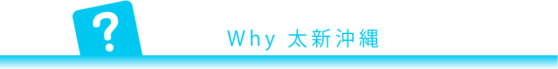 Why 太新沖縄